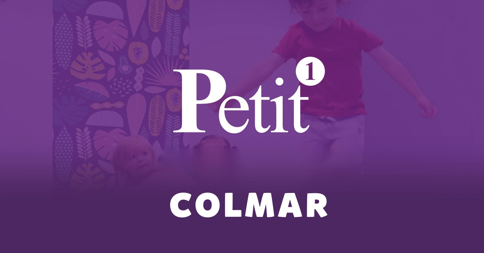 Salon Petit 1 à Colmar
